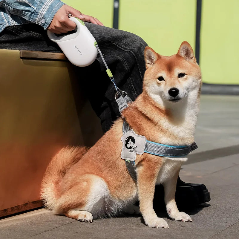 5M Retractable Dog Leash Pet Leash Traction Rope Reflective Belt Automatic Flexible Leash for Small Medium Large Dog Product