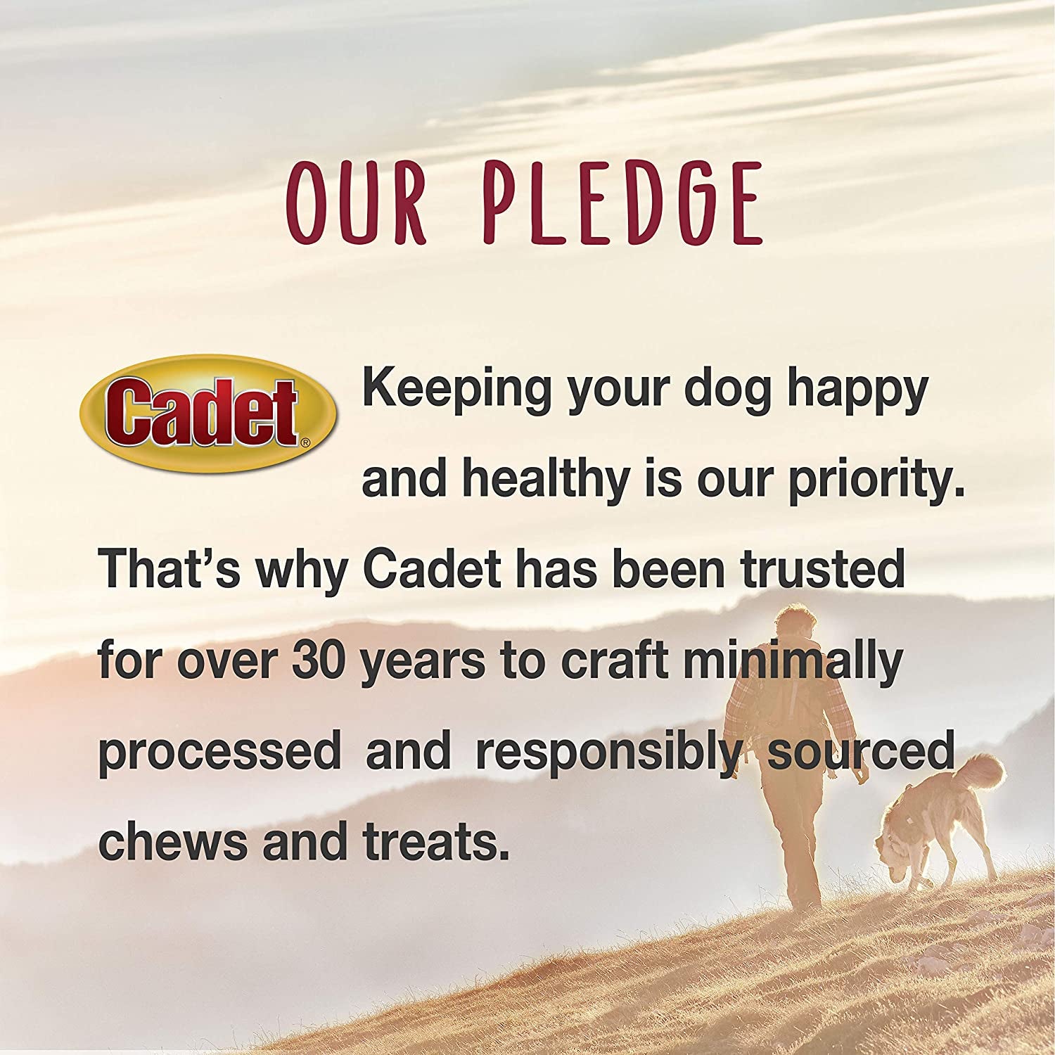 Gourmet Duck Jerky Dog Treats for Training - Healthy & Natural Dog Training Treats for Small & Large Breeds - Inspected & Tested in USA (14 Oz.)