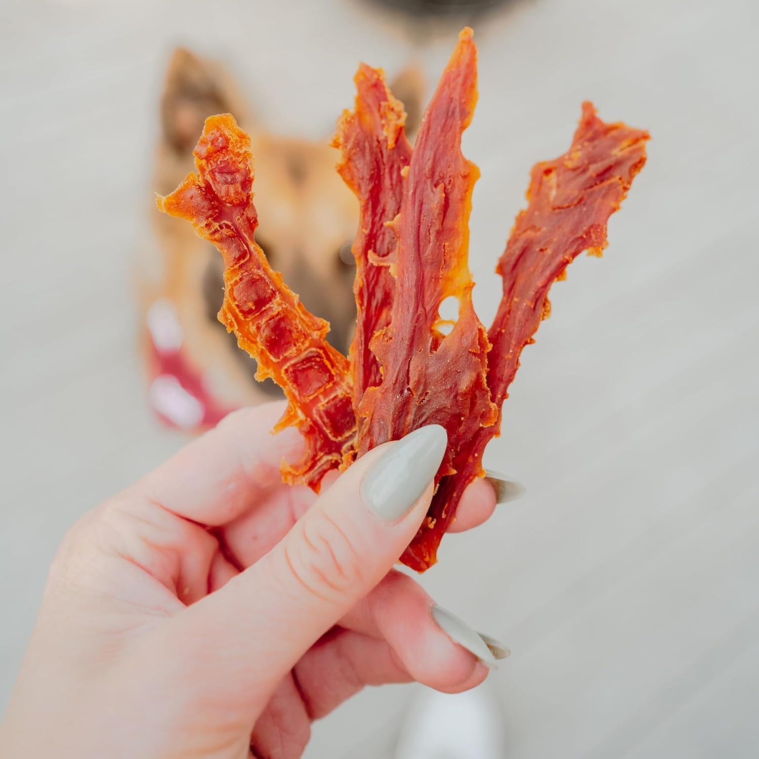 Gourmet Duck Jerky Dog Treats for Training - Healthy & Natural Dog Training Treats for Small & Large Breeds - Inspected & Tested in USA (40 Oz.)
