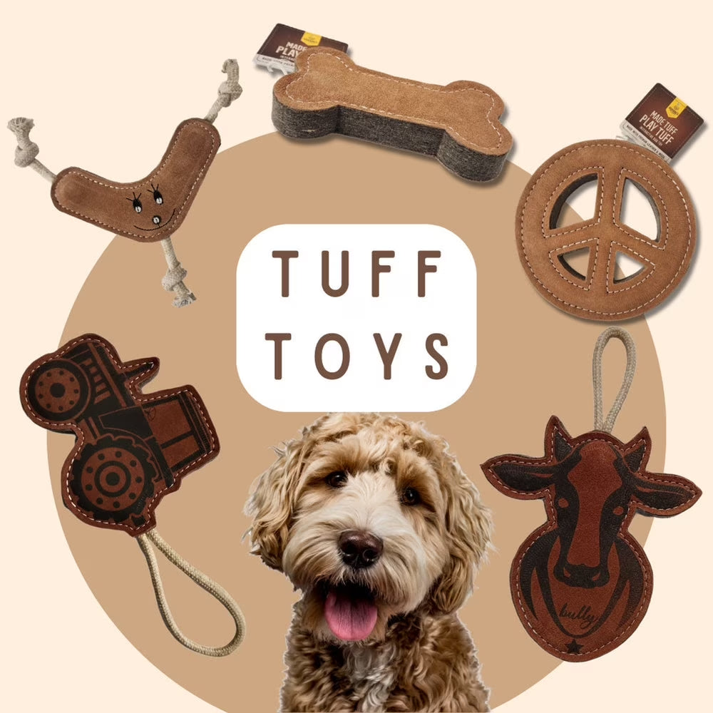 Advance Pet Product Tuff Toy Dog Bone