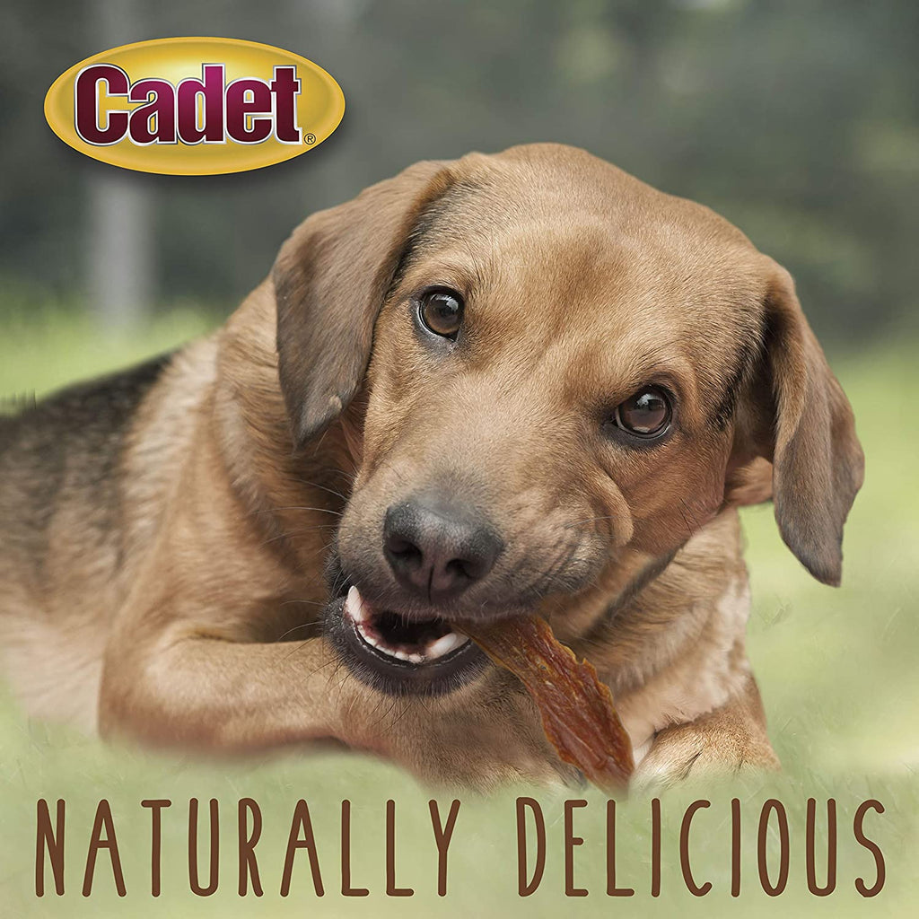 Gourmet Duck Jerky Dog Treats for Training - Healthy & Natural Dog Training Treats for Small & Large Breeds - Inspected & Tested in USA (14 Oz.)